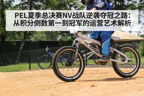 PEL夏季总决赛NV战队逆袭夺冠之路：从积分倒数第一到冠军的运营艺术解析